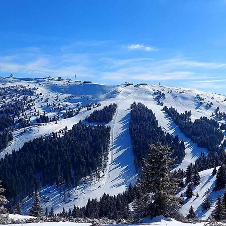 Woodside Apartment M Kopaonik Free Parking Luaran gambar