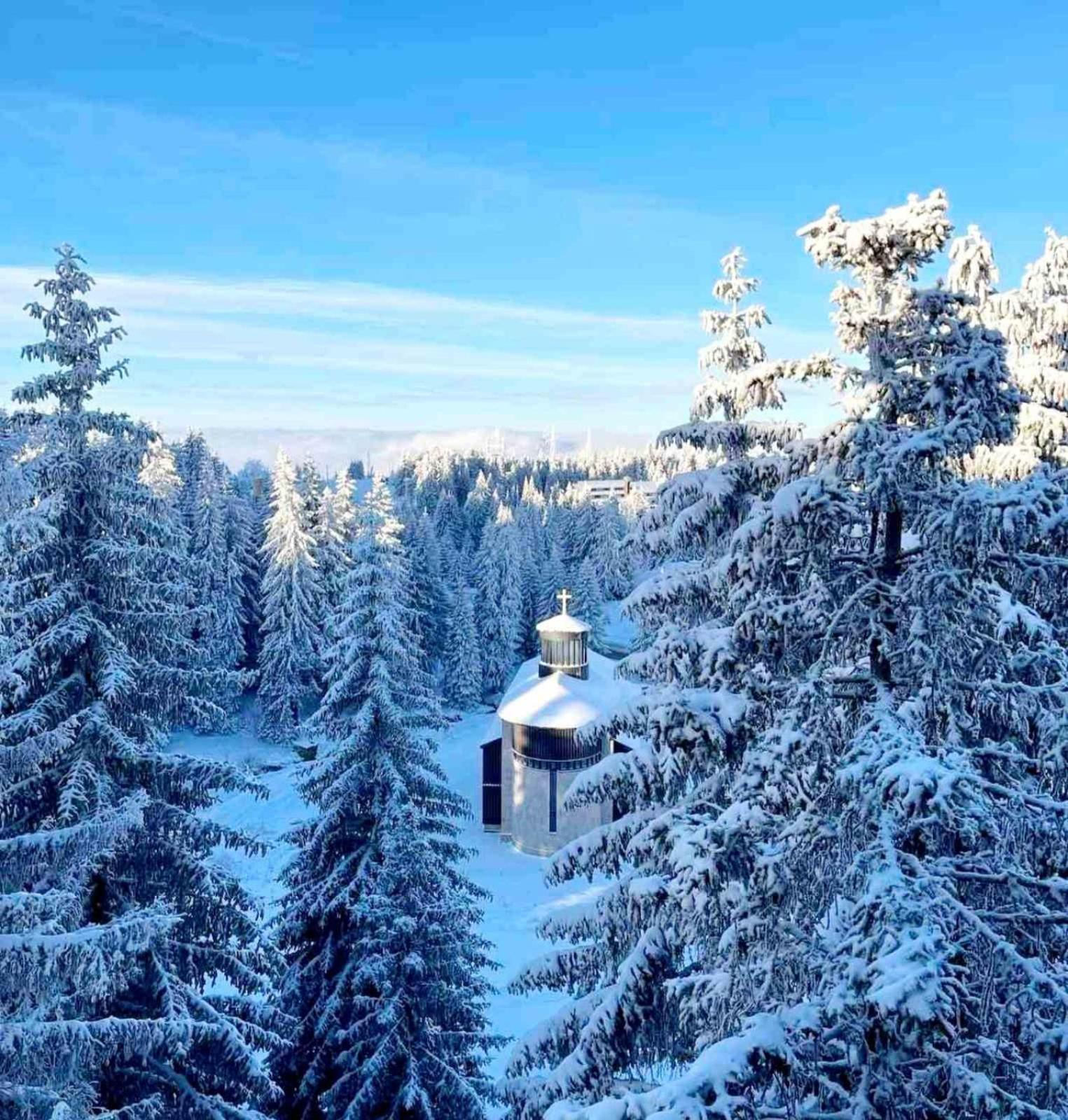 Woodside Apartment M Kopaonik Free Parking Luaran gambar