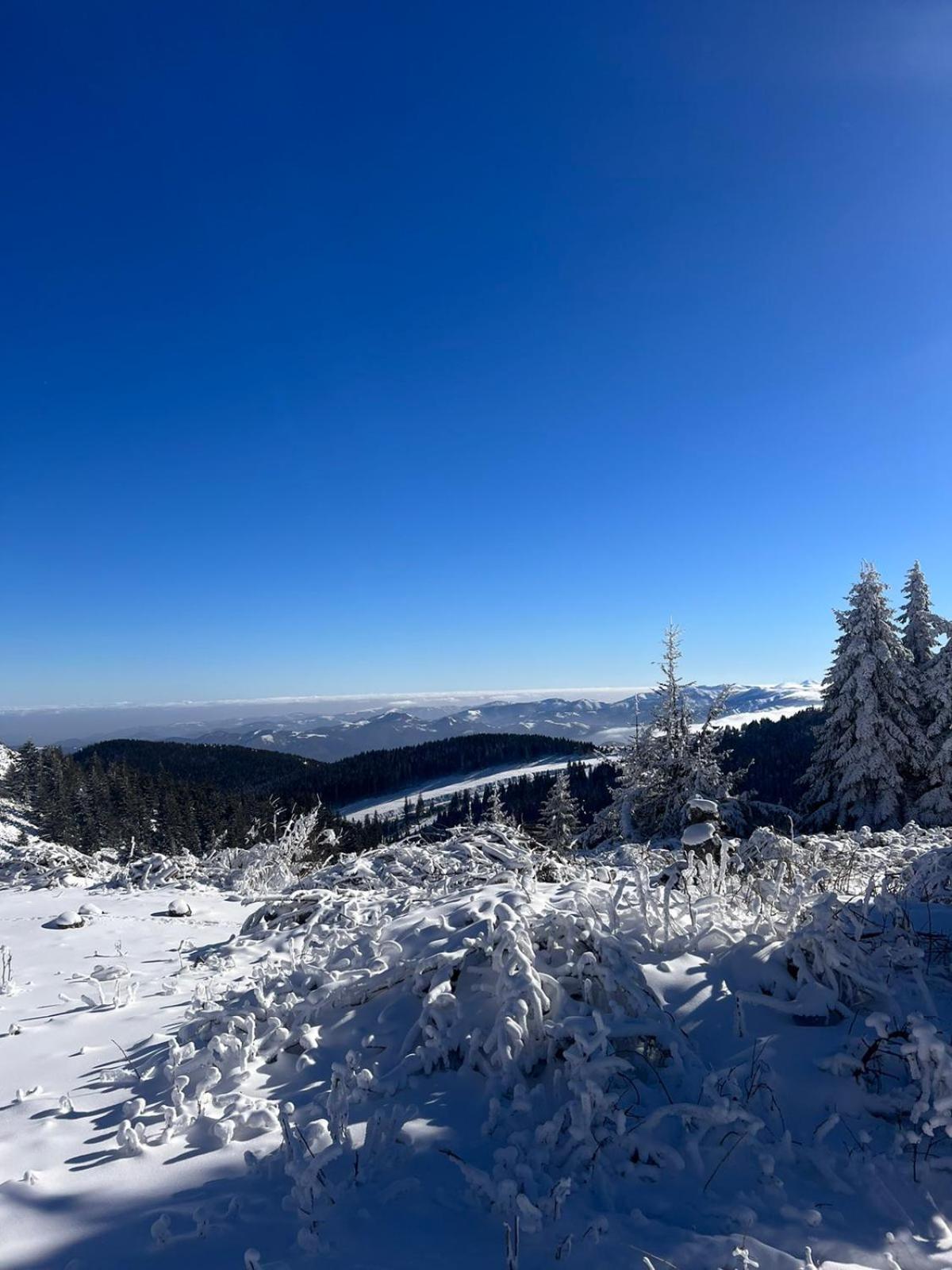 Woodside Apartment M Kopaonik Free Parking Luaran gambar