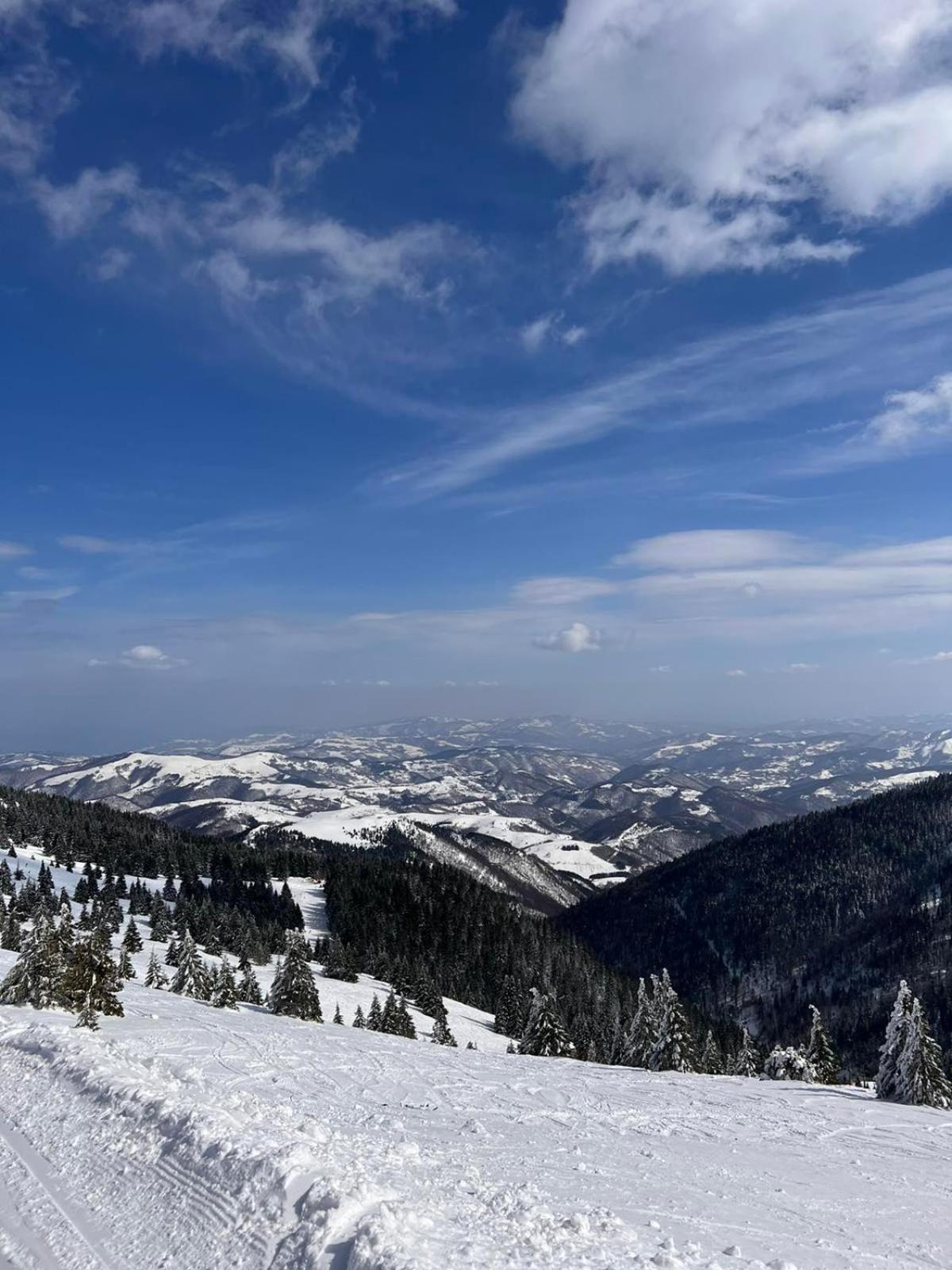 Woodside Apartment M Kopaonik Free Parking Luaran gambar