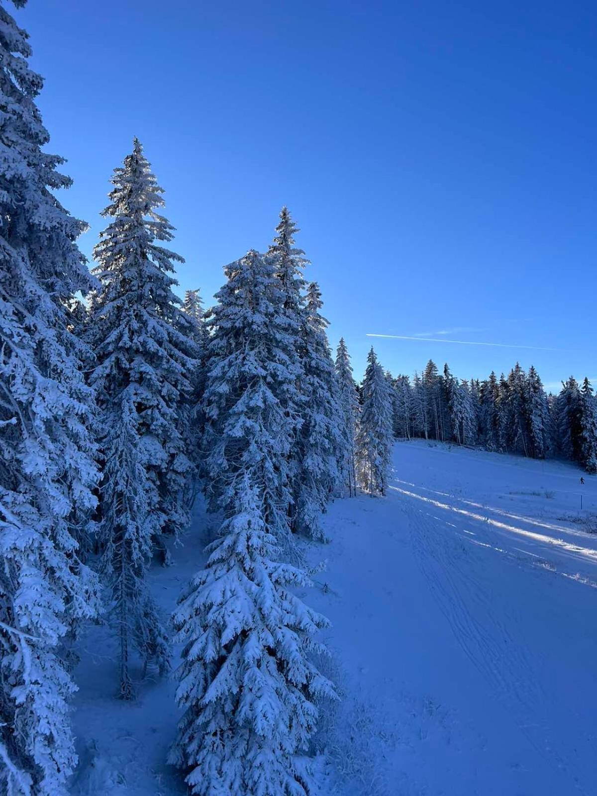 Woodside Apartment M Kopaonik Free Parking Luaran gambar