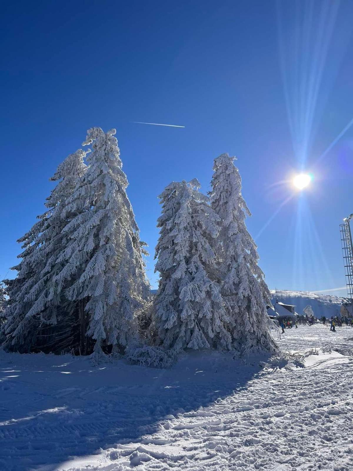 Woodside Apartment M Kopaonik Free Parking Luaran gambar